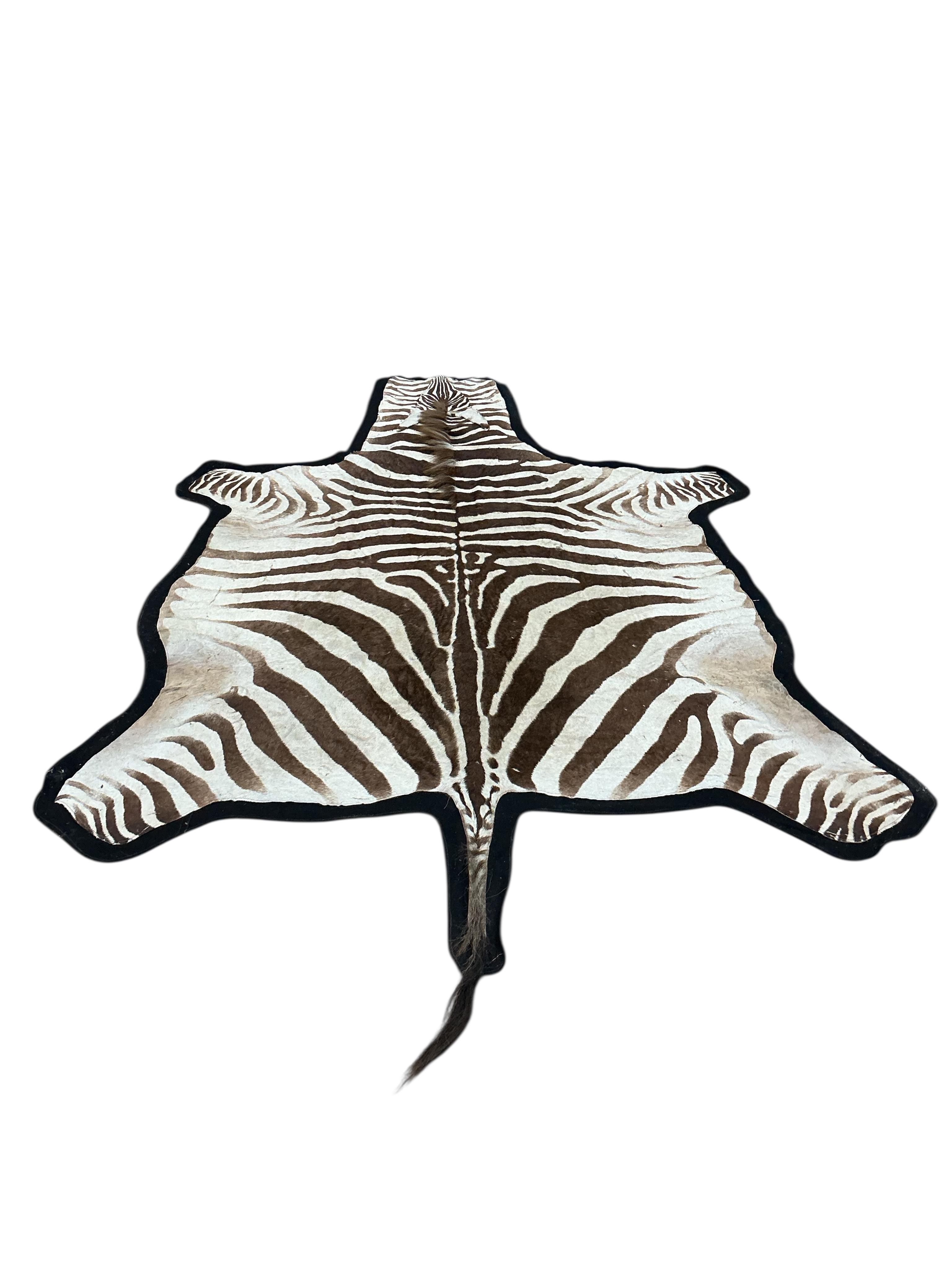A felt backed zebra skin rug, approx. 240 x 170cm